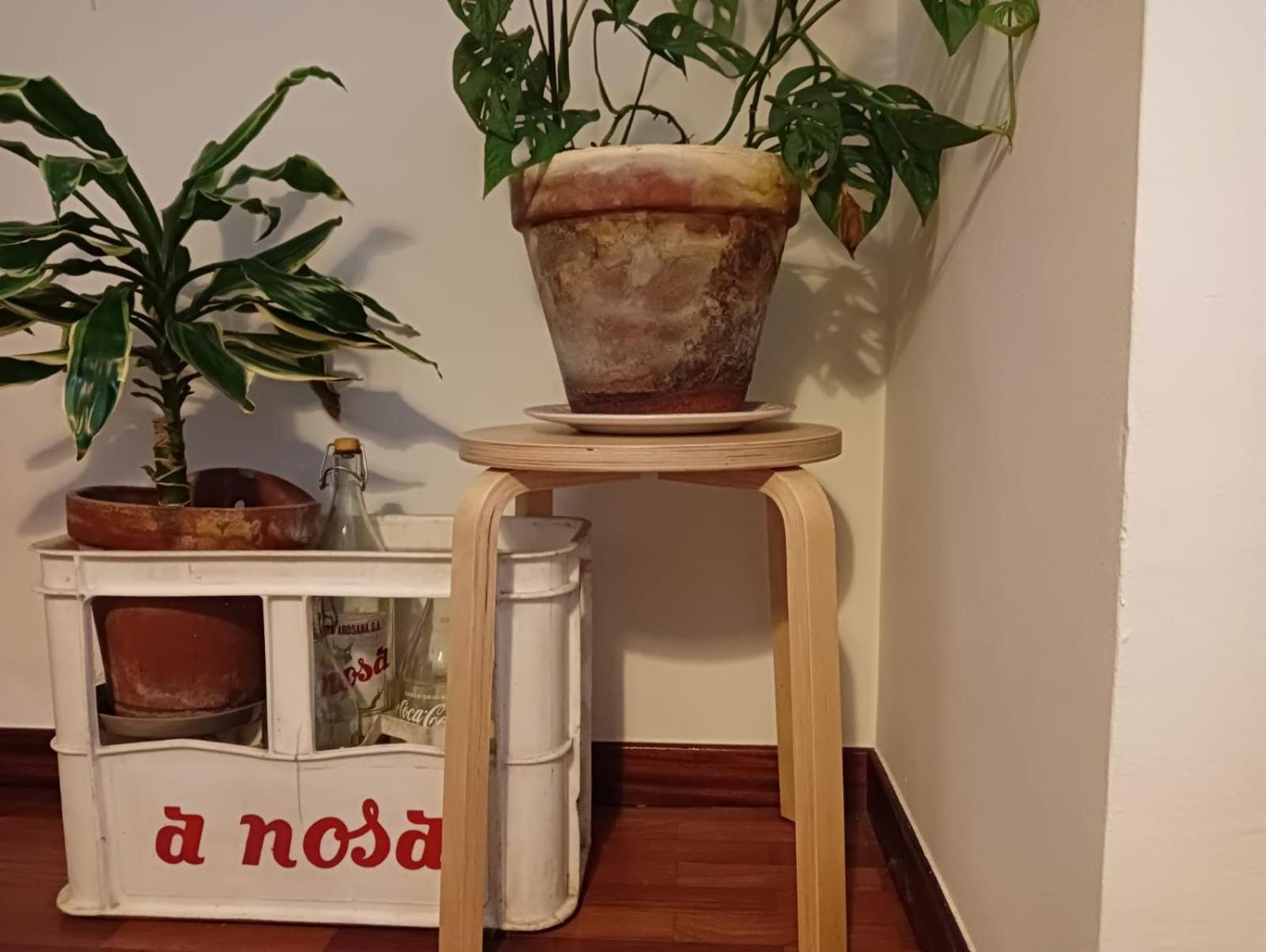 La Maceta Appartamento Vilagarcia de Arousa